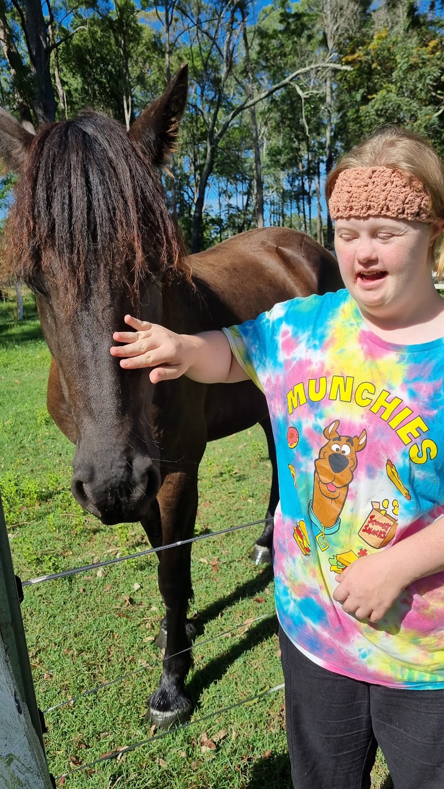 Black Horse Equine Assisted Learning | Bairnsdale School Rd, Yorklea NSW 2470, Australia | Phone: 0419 093 445