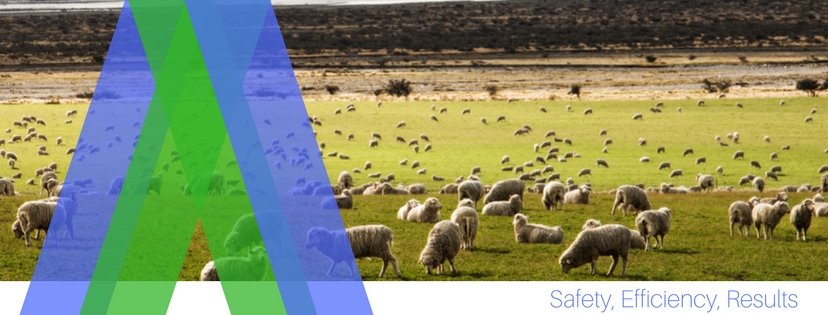 Lonsdale Livestock | 24-26 Gilchrist Rd, Stawell VIC 3380, Australia | Phone: (03) 5358 3652