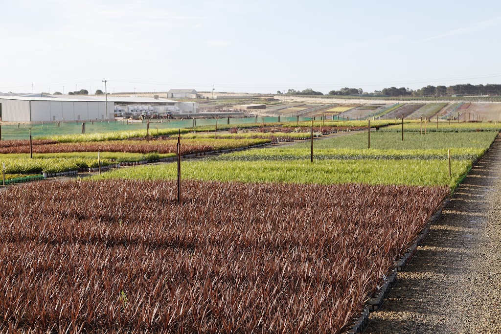 Benara Nurseries | 462 Nicholson Rd, Forrestdale WA 6112, Australia | Phone: (08) 9561 9000