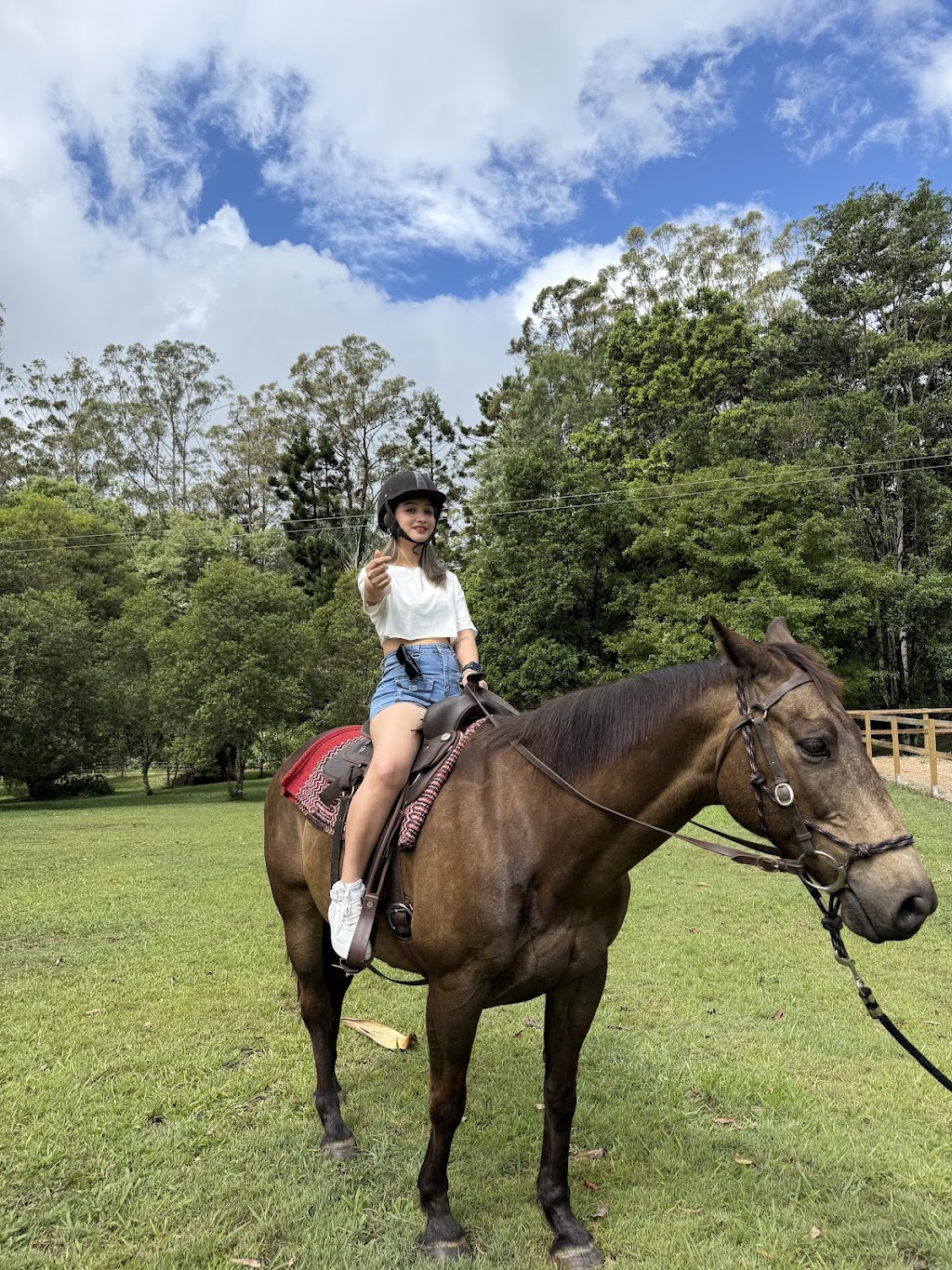 Hinterland Horses Byron Bay | 22 Blackbean Ln, Federal NSW 2481, Australia | Phone: 0407 813 321