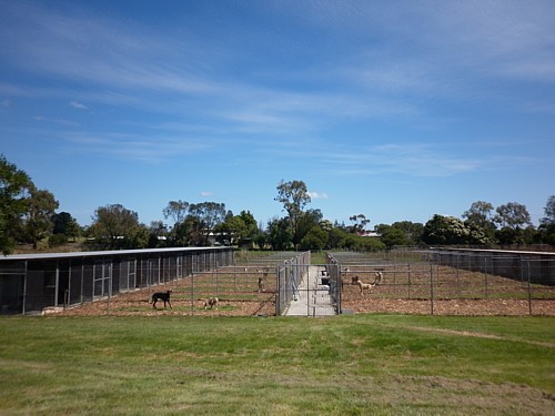 Cranbourne Boarding Kennels | 118 Craig Rd, Devon Meadows VIC 3977, Australia | Phone: (03) 5998 2595