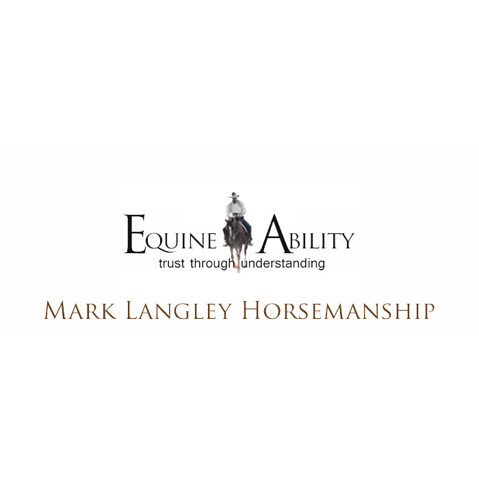 Equine Ability |  | 1671 Lower Piambong Rd, Piambong NSW 2850, Australia | 0417200411 OR +61 417 200 411