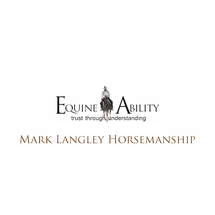 Equine Ability | 1671 Lower Piambong Rd, Piambong NSW 2850, Australia | Phone: 0417 200 411