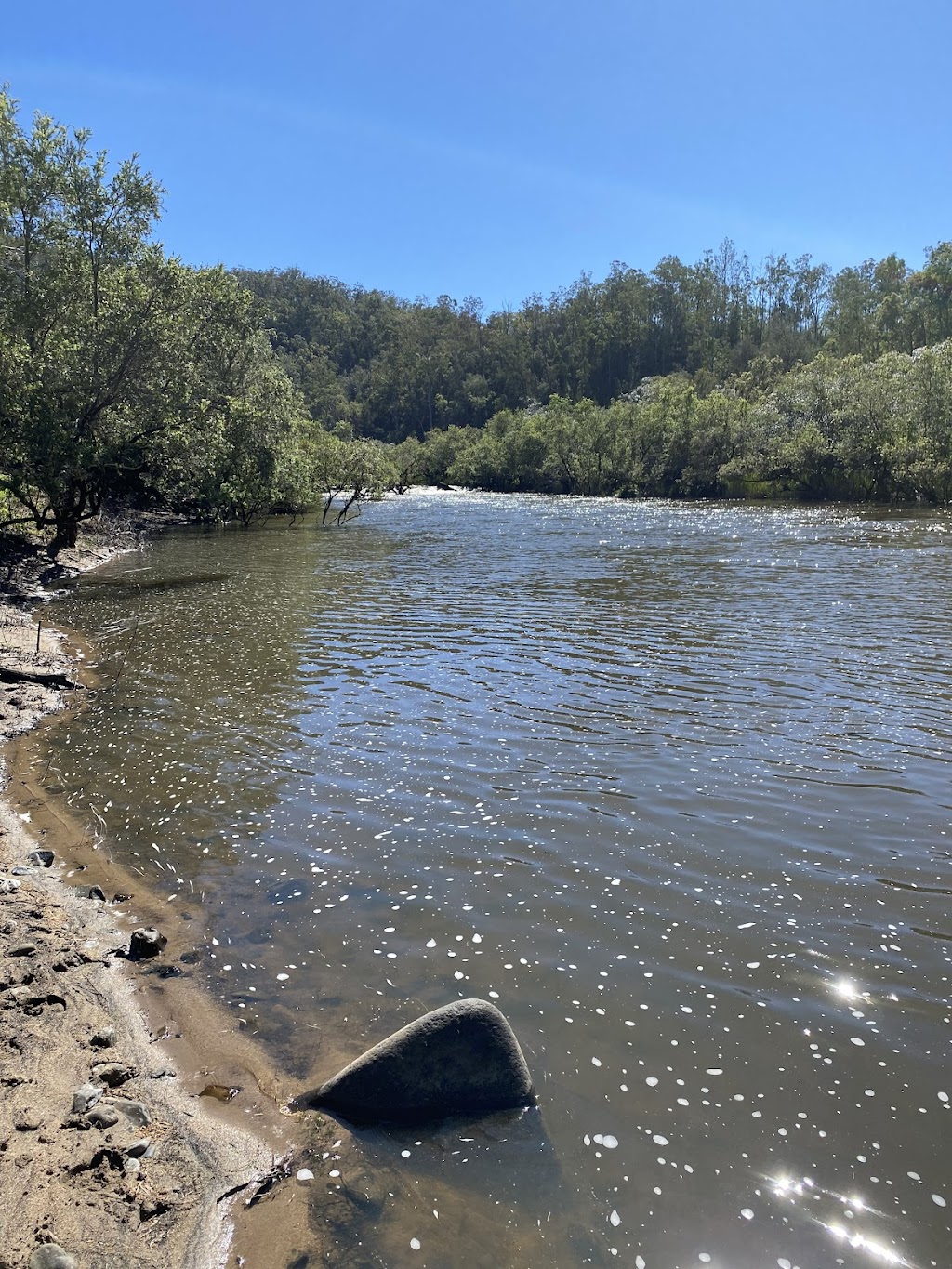 On the Clarence Camping | 1762 Hootons Rd, Tabulam NSW 2469, Australia | Phone: 0460 852 369