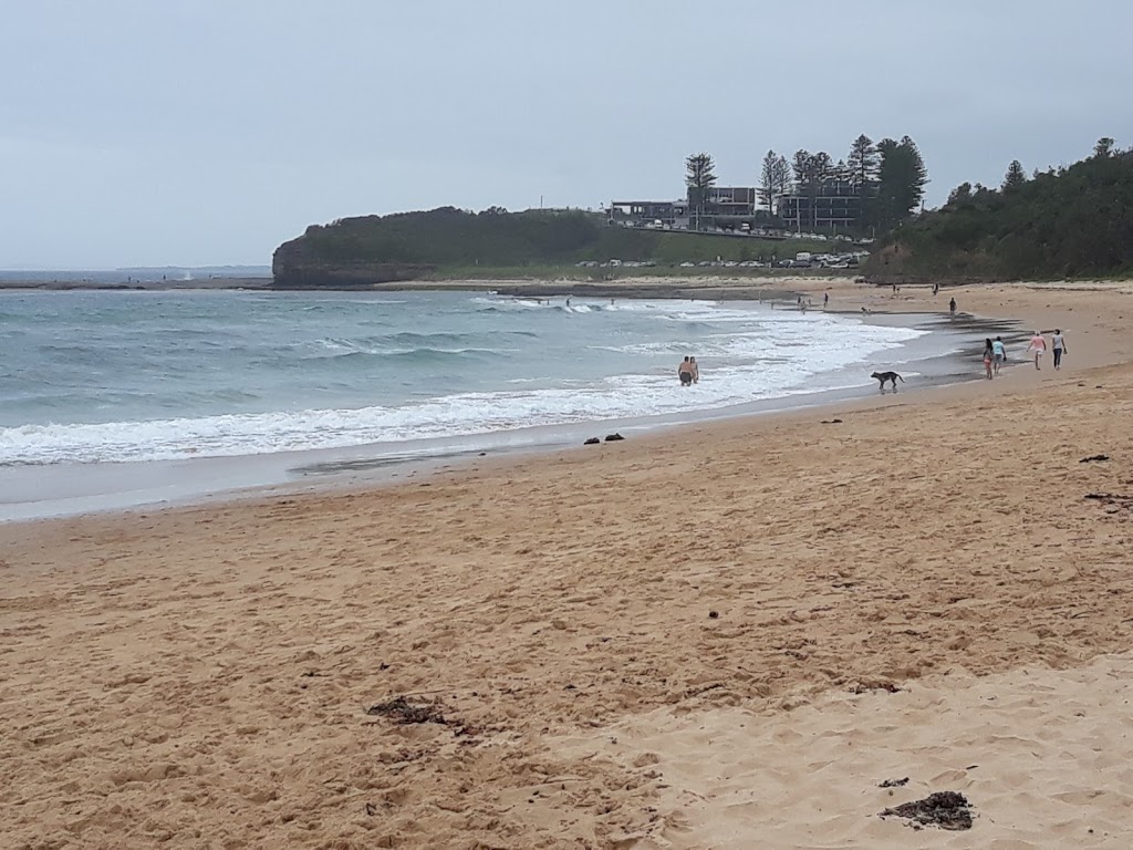 Sharkies Beach | park | Lawrence Hargrave Dr, Coledale NSW 2515, Australia