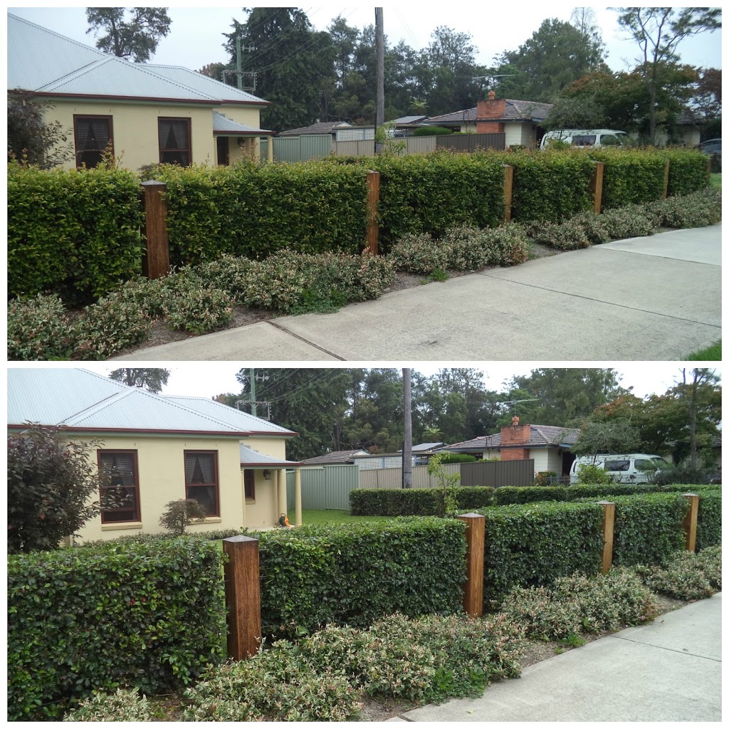 Glenbrook Gardens | general contractor | 9 Lennox St, Glenbrook NSW 2773, Australia | 0479016345 OR +61 479 016 345