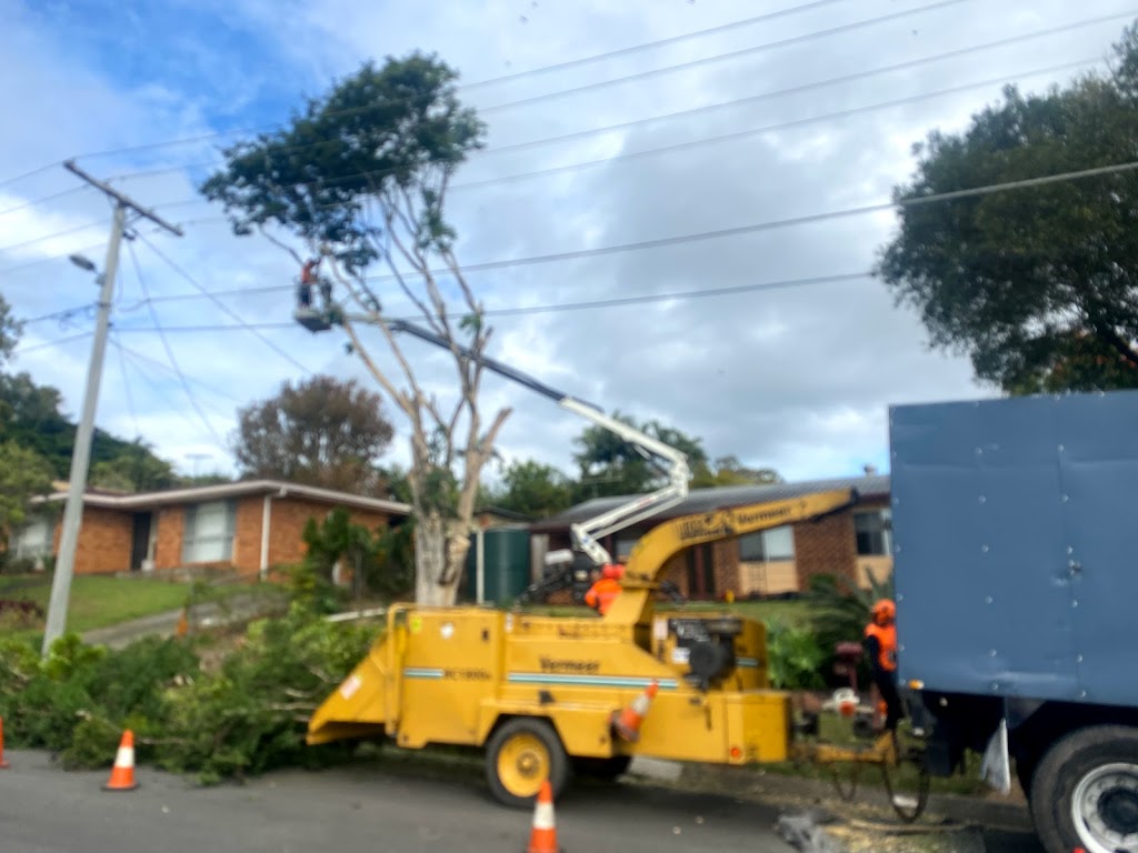 Boss Tree Services Russell Island & Bay islands | general contractor | 164 Canaipa Point Dr, Russell Island QLD 4184, Australia | 0731333199 OR +61 7 3133 3199