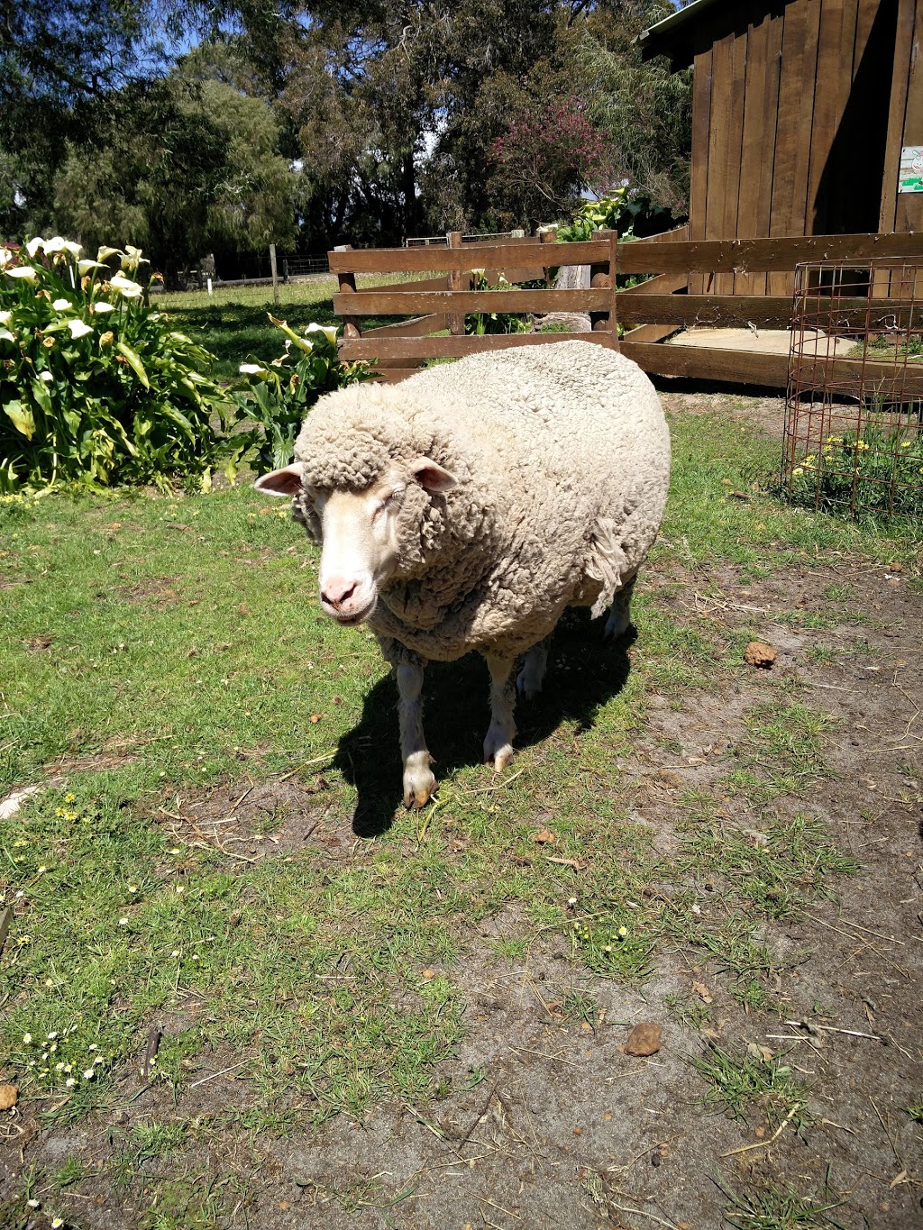 Yallingup Shearing Shed | 1442 Wildwood Rd, Yallingup WA 6282, Australia