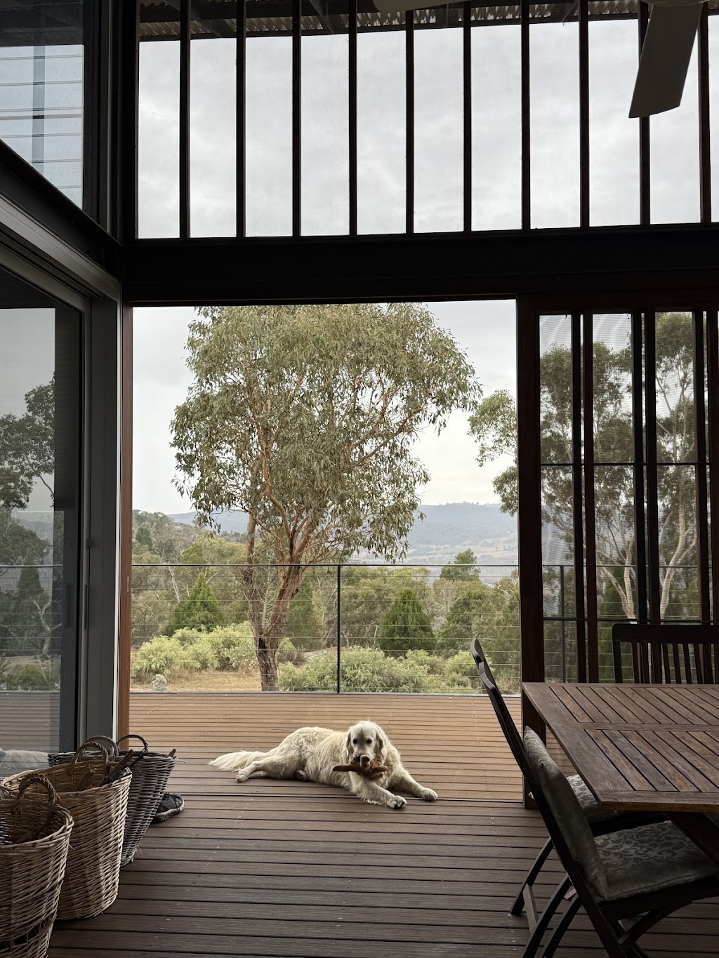 Rock Forest Vineyard | 12 Pine Ridge Rd, Rock Forest NSW 2795, Australia | Phone: 0418 165 070