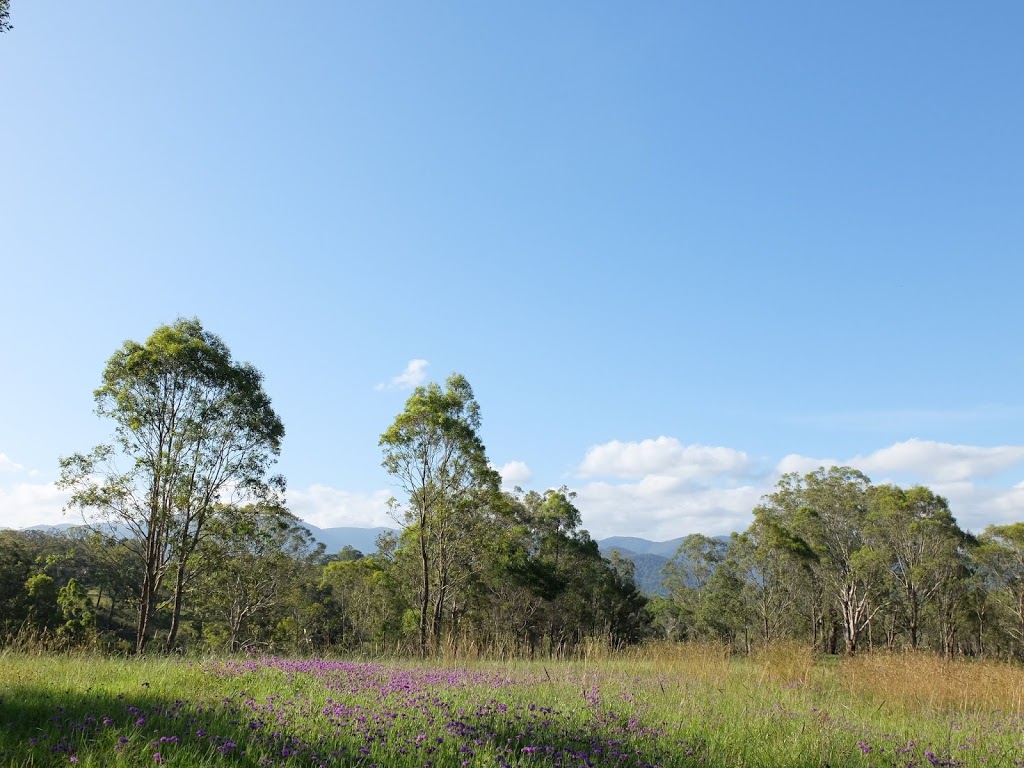 Colombo Park | LOT 7302 Snowy Mountains Hwy, Bemboka NSW 2550, Australia