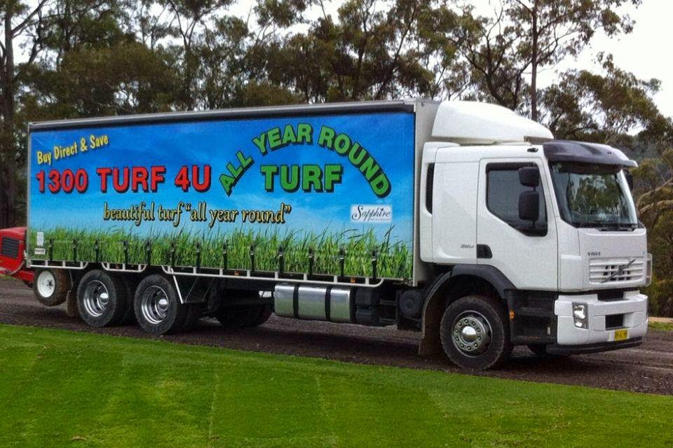 All Year Round Turf | 451 Wilberforce Rd, Wilberforce NSW 2756, Australia | Phone: 1300 887 348