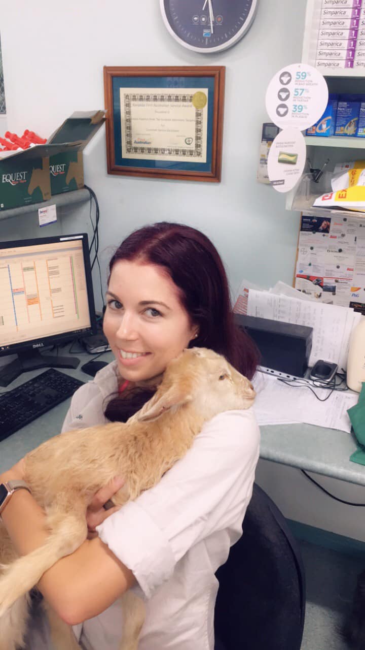 Mareeba Veterinary Surgery | 149 Walsh St, Mareeba QLD 4880, Australia | Phone: (07) 4092 4260