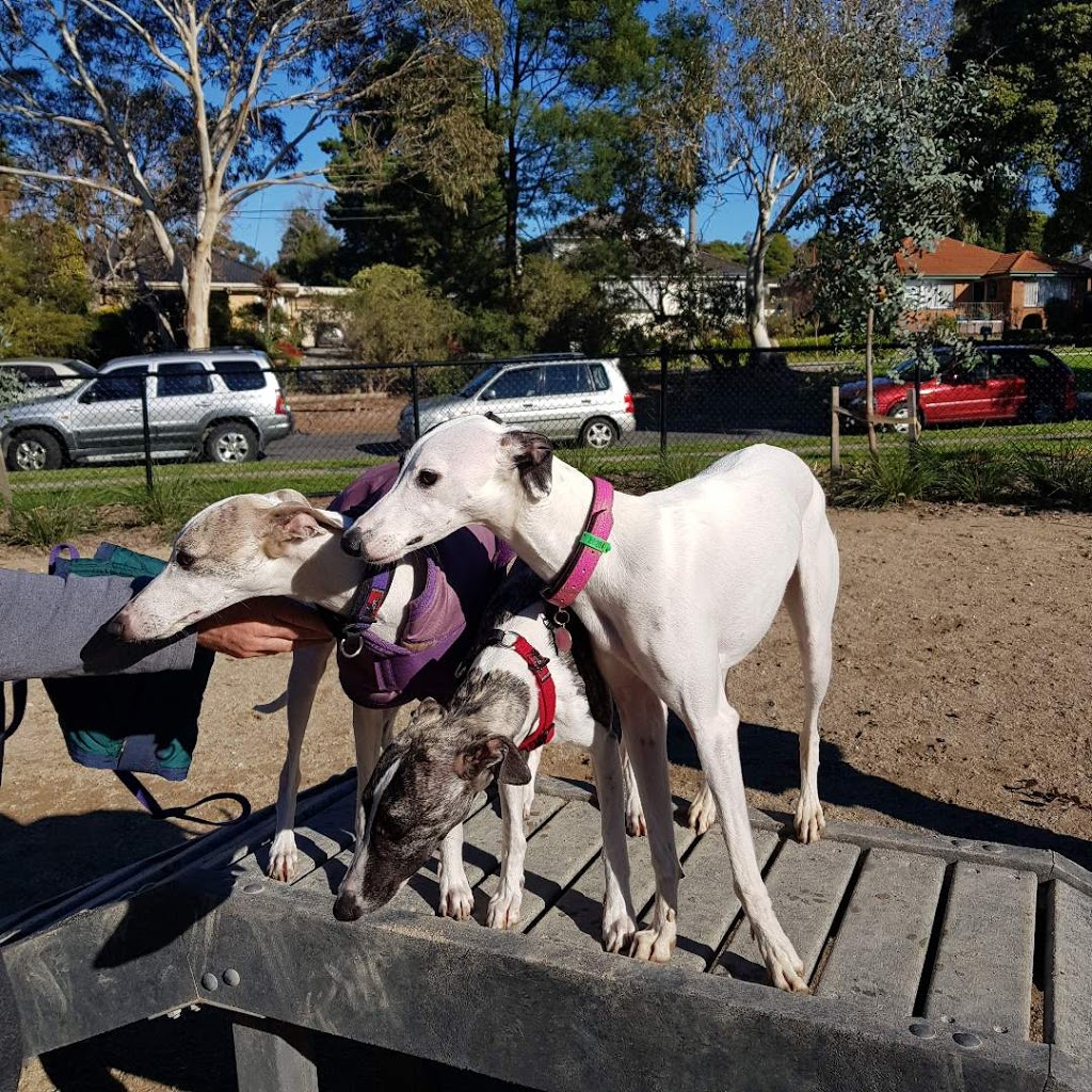 Elles Pet Service | Nuraylia Ave, Croydon VIC 3136, Australia | Phone: 0416 951 691