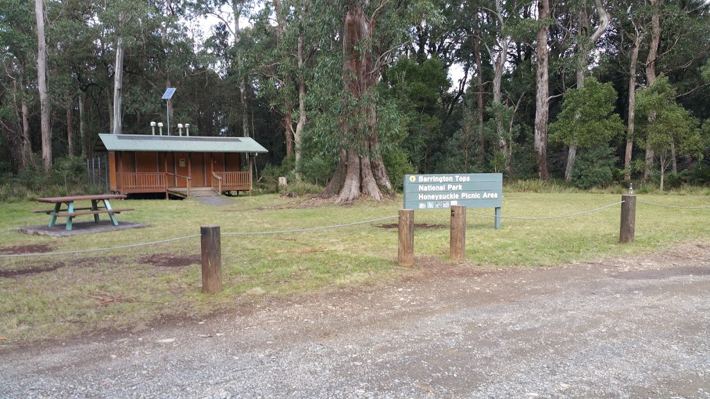 Devils Hole Campground | campground | &, Barrington Tops Forest Rd & Devils Hole Access, Barrington Tops NSW 2422, Australia | 0265451128 OR +61 2 6545 1128