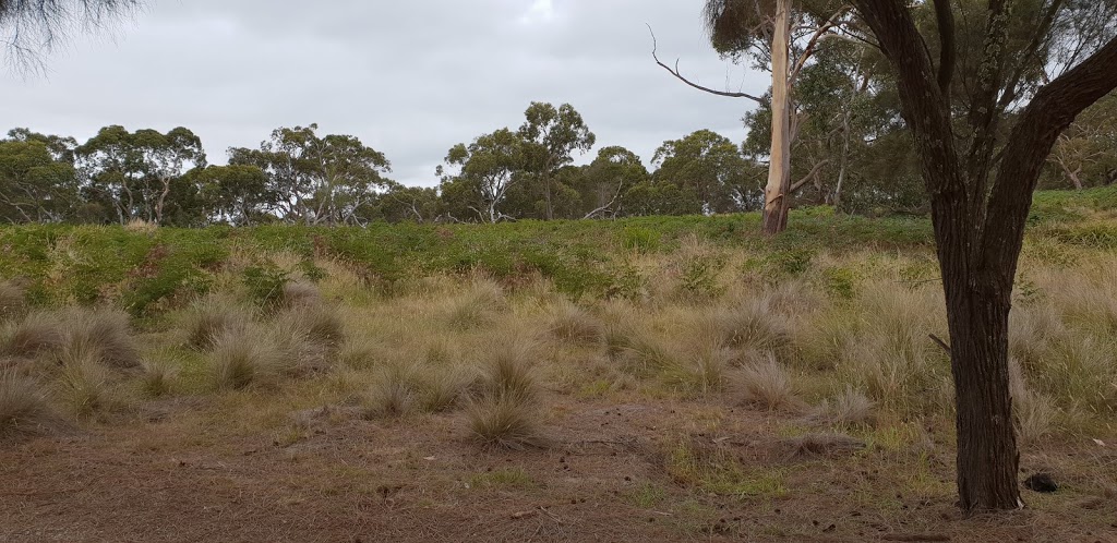 Oswin Roberts Reserve | zoo | Harbison Rd, Rhyll VIC 3923, Australia