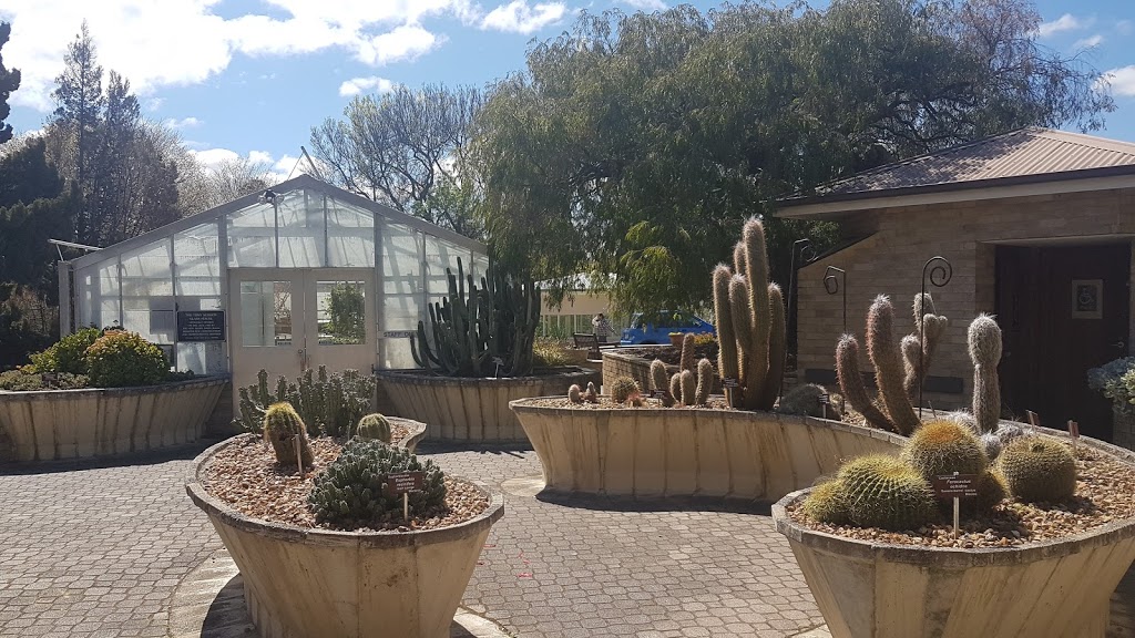 Cactus Collection | park | Queens Domain TAS 7000, Australia
