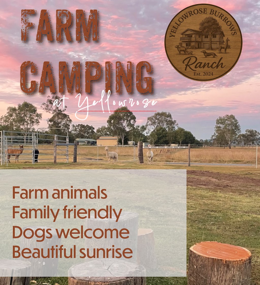 Yellow Rose Ranch | 14A Caleys Ct, Lockrose QLD 4342, Australia | Phone: 0492 857 810