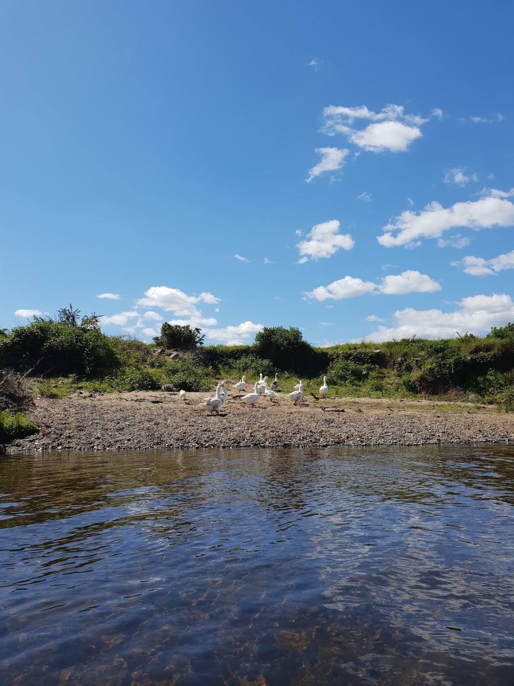 St Leonards Dog Park | St Leonards Picnic Ground, 81 Station Rd, St Leonards TAS 7250, Australia