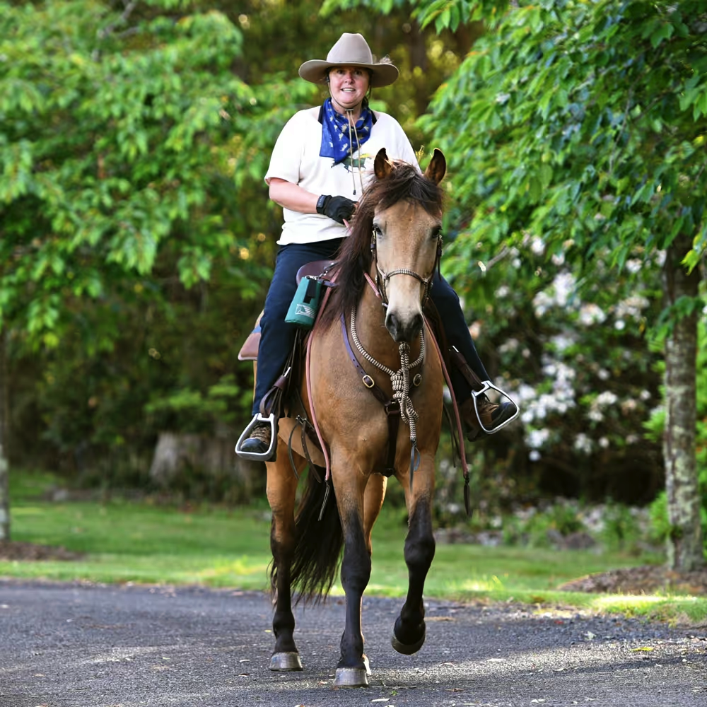 Epona Enterprises | 185 Beaumonts Rd, Deer Vale NSW 2453, Australia | Phone: 0404 493 043