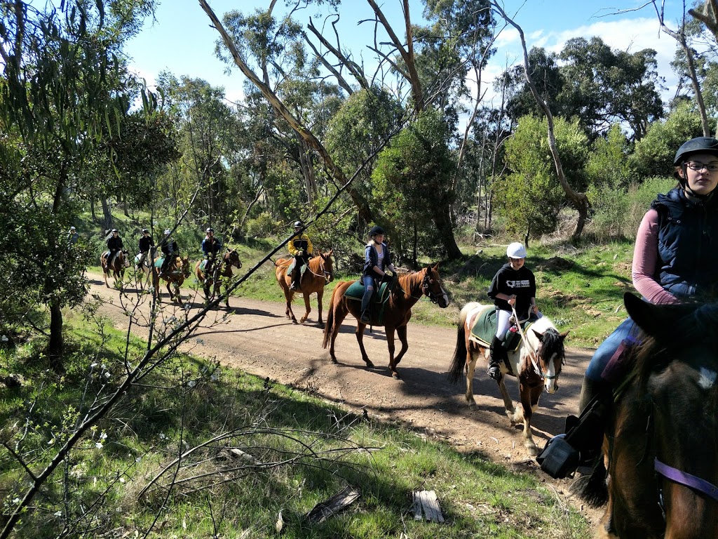 Watsons Mountain Country Trail Rides | 296 Three Chain Rd, Boorolite VIC 3723, Australia | Phone: (03) 5777 3552