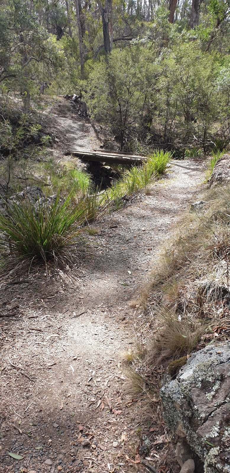 Wollomombi Falls Picnic Area | Wollomombi Falls Rd, Hillgrove NSW 2350, Australia | Phone: 1300 072 757