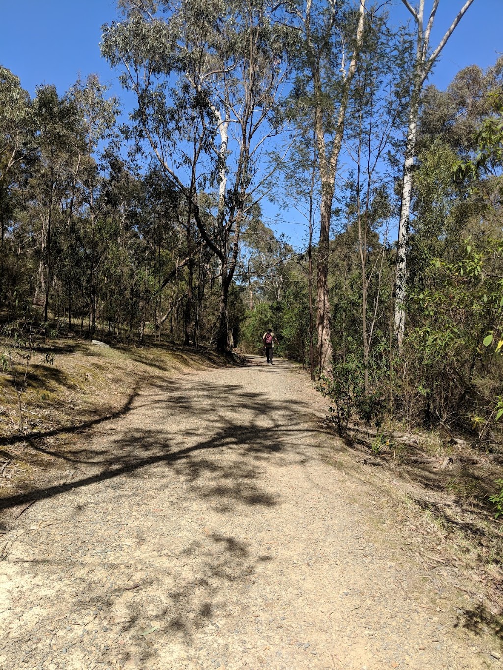 Currawong Bush Park Environment Centre | park | Warrandyte VIC 3113, Australia