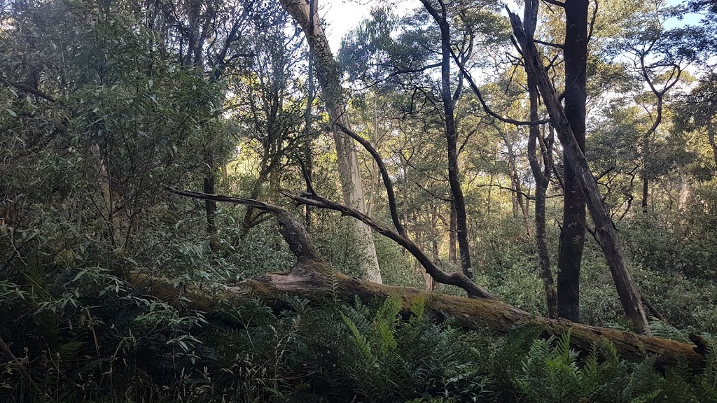 Camels Hump | tourist attraction | Cameron Dr, Mount Macedon VIC 3441, Australia | 0354220333 OR +61 3 5422 0333