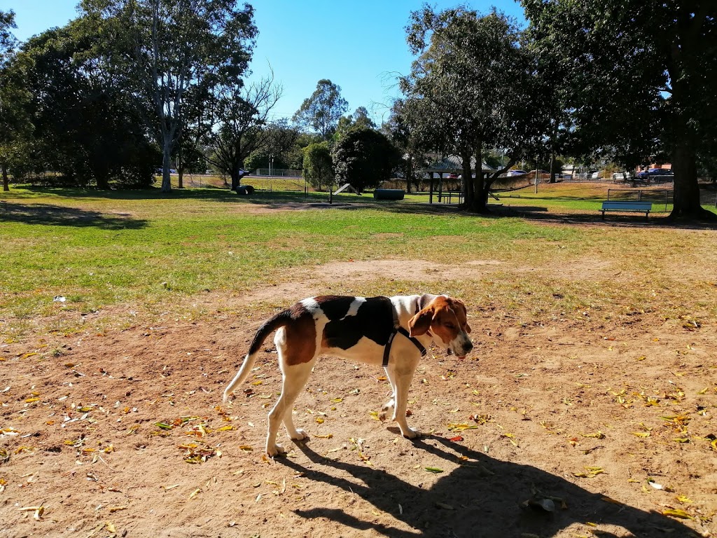 Ferny Grove Dog Park | park | 1212 Samford Rd, Ferny Grove QLD 4055, Australia