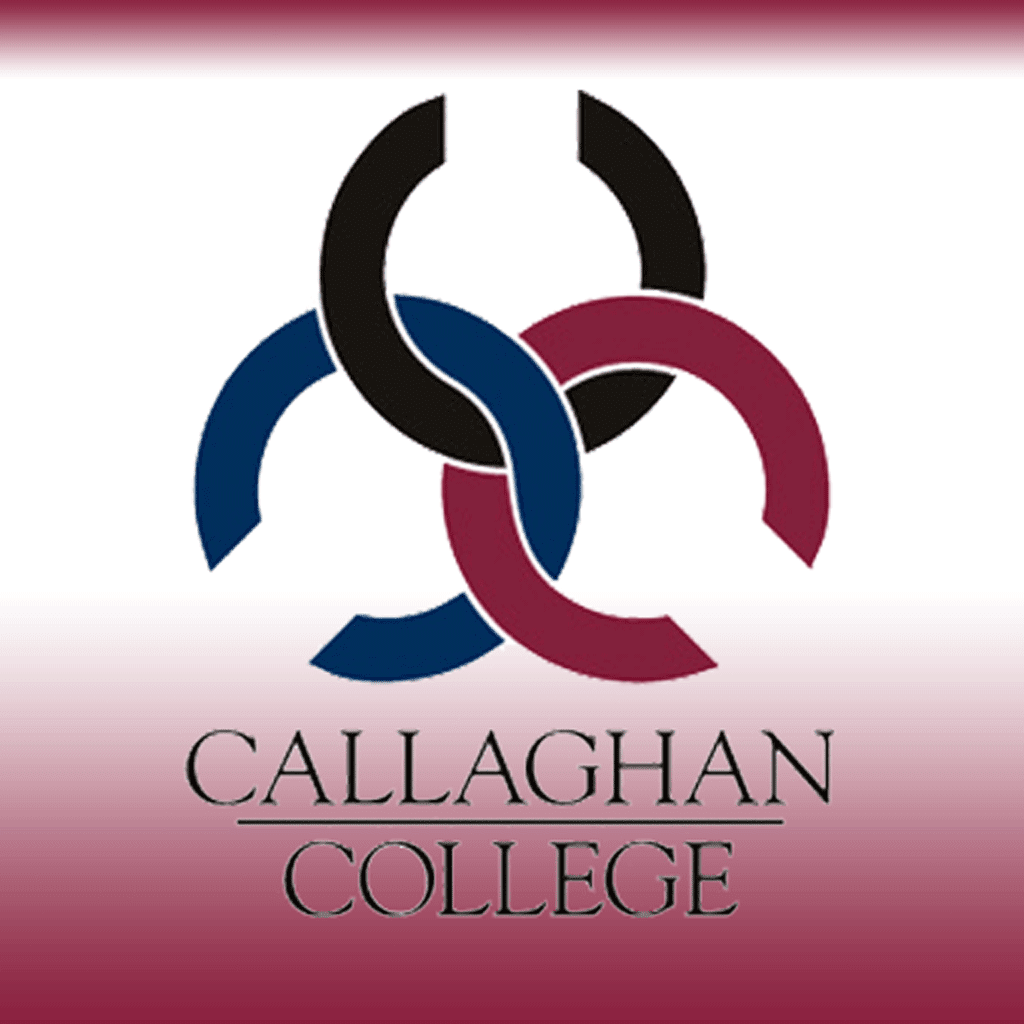 Callaghan College Wallsend Campus | school | 80/82 Macquarie St, Wallsend NSW 2287, Australia | 0249511811 OR +61 2 4951 1811