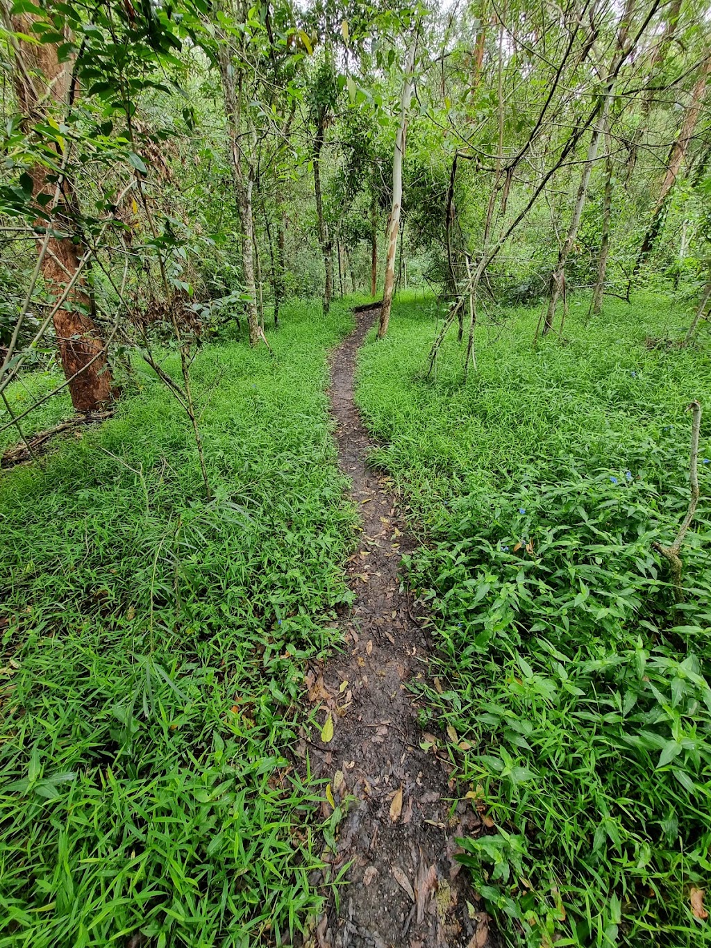 Sanctuary of the Wild | Latina Ave, Seven Hills QLD 4170, Australia | Phone: 0417 616 256