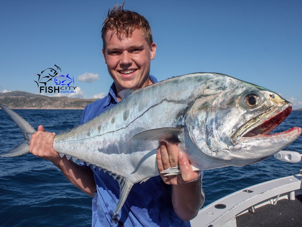 Fish City Townsville Fishing Charters |  | c/- Townsville, Volunteer Coast Guard, Sir Leslie Thiess Dr, Townsville QLD 4810, Australia | 0408767387 OR +61 408 767 387