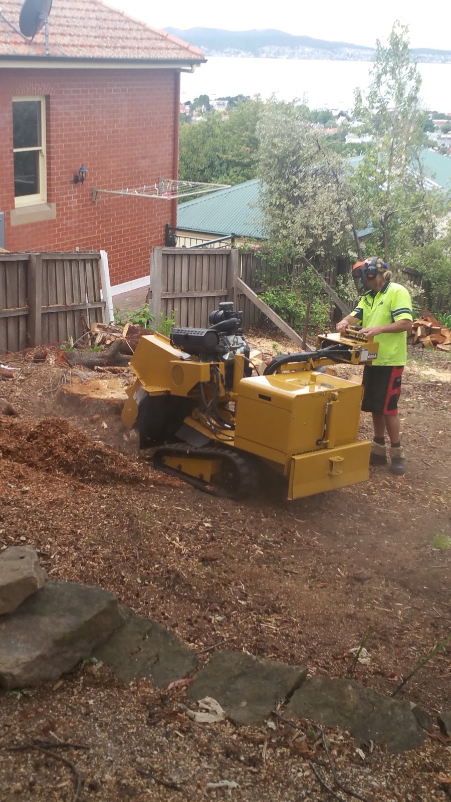Affordable Stump Removals | 2 High Sunderland Cres, Dromedary TAS 7030, Australia | Phone: 0427 667 790