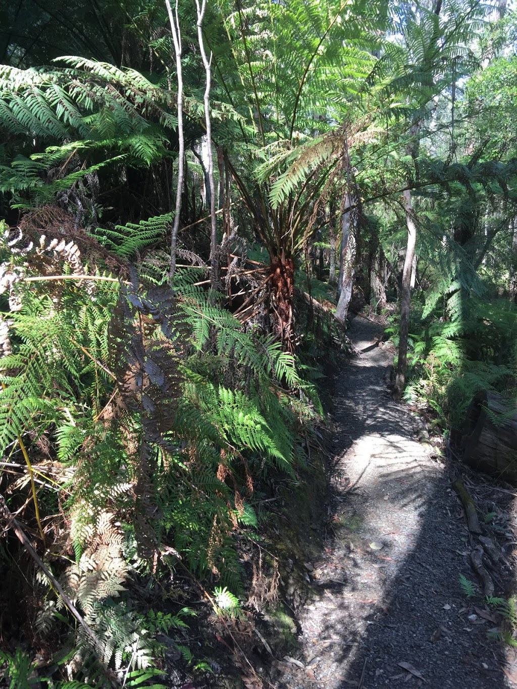 Falls Creek Trail Memorial | park | Falls Creek Memorial Trail, Cabbage Tree Creek VIC 3889, Australia