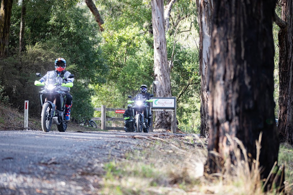Otway Adventure Motorcycles | 195 Dunse Track, Pennyroyal VIC 3235, Australia | Phone: 0408 765 400