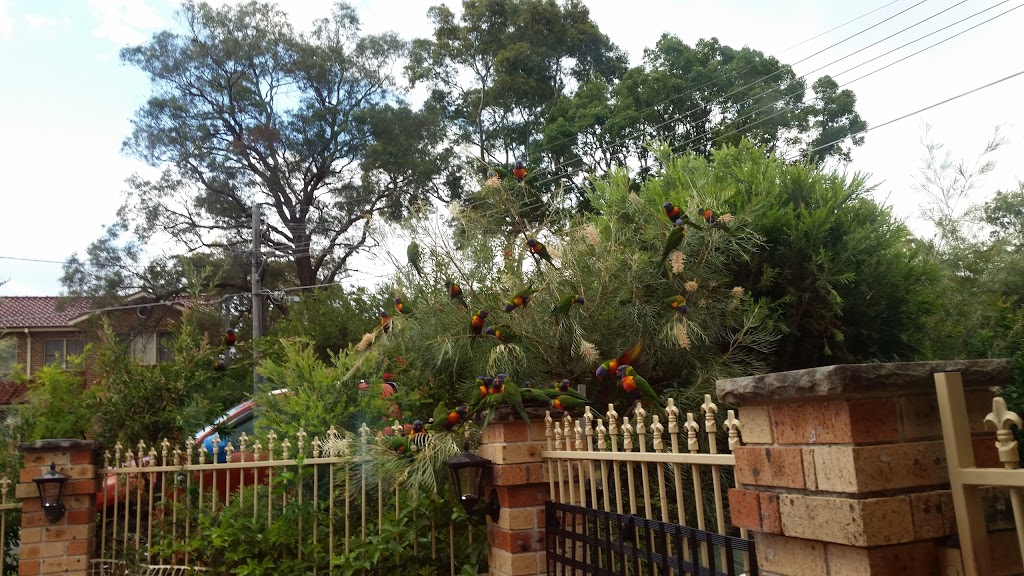 Wattlebird Bushland Reserve | park | 18 Rawson Parade, Caringbah South NSW 2229, Australia | 0297100333 OR +61 2 9710 0333