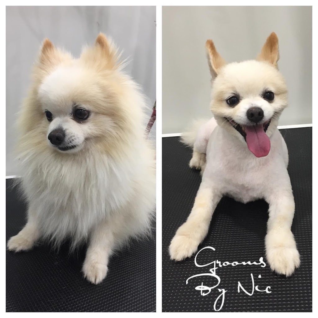 Nics Pet Grooms | 136 Heritage Way, Glen Alpine NSW 2560, Australia | Phone: 0478 181 322