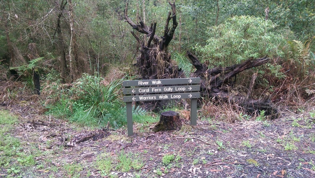 Lyrebird Forest Walk Carpark | Unnamed Road, Mirboo North VIC 3871, Australia