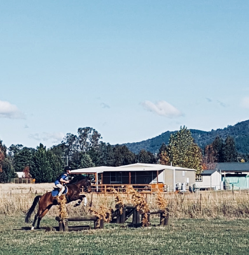 Mansfield Pony Club | Mansfield Showgrounds Mt, Mt Battery Rd, Mansfield VIC 3722, Australia | Phone: 0409 975 531