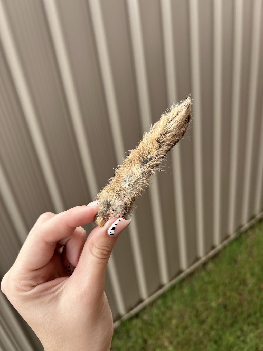 Charlie and the Treat Factory | 16 Coral Fern Way, Gwandalan NSW 2259, Australia | Phone: 0468 528 211