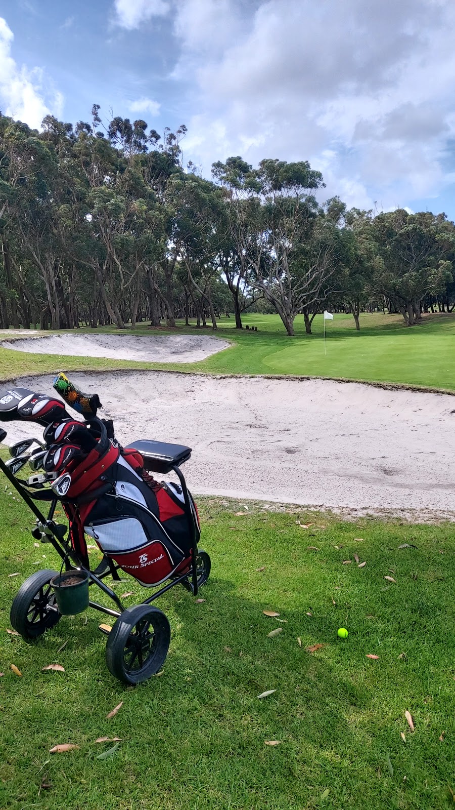 Hawks Nest Golf Club |  | 1 Sanderling Ave, Hawks Nest NSW 2324, Australia | 0249970145 OR +61 2 4997 0145