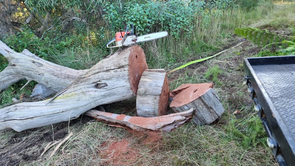 Mr Cutlogs Firewood | 289 Pacific Hwy, Mount White NSW 2250, Australia | Phone: 0411 111 111 Mr Cutlogs Firewood | 289 Pacific Hwy, Mount White NSW 2250, Australia | Phone: 0411 111 111