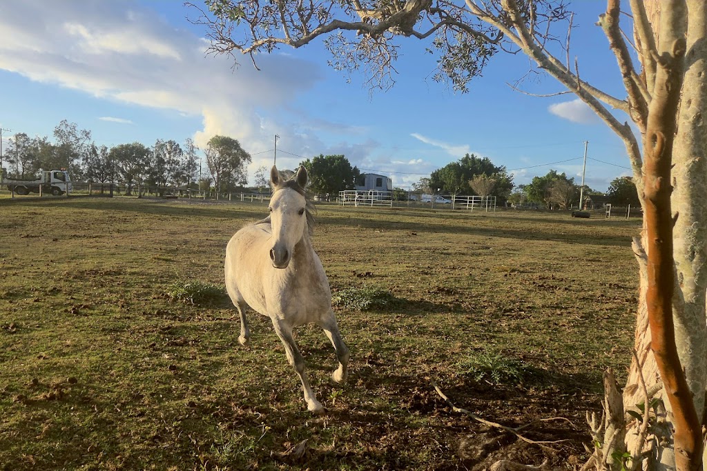 Equine Partnered Academy | 432 Fullerton Cove Rd, Fullerton Cove NSW 2318, Australia | Phone: 0409 849 436