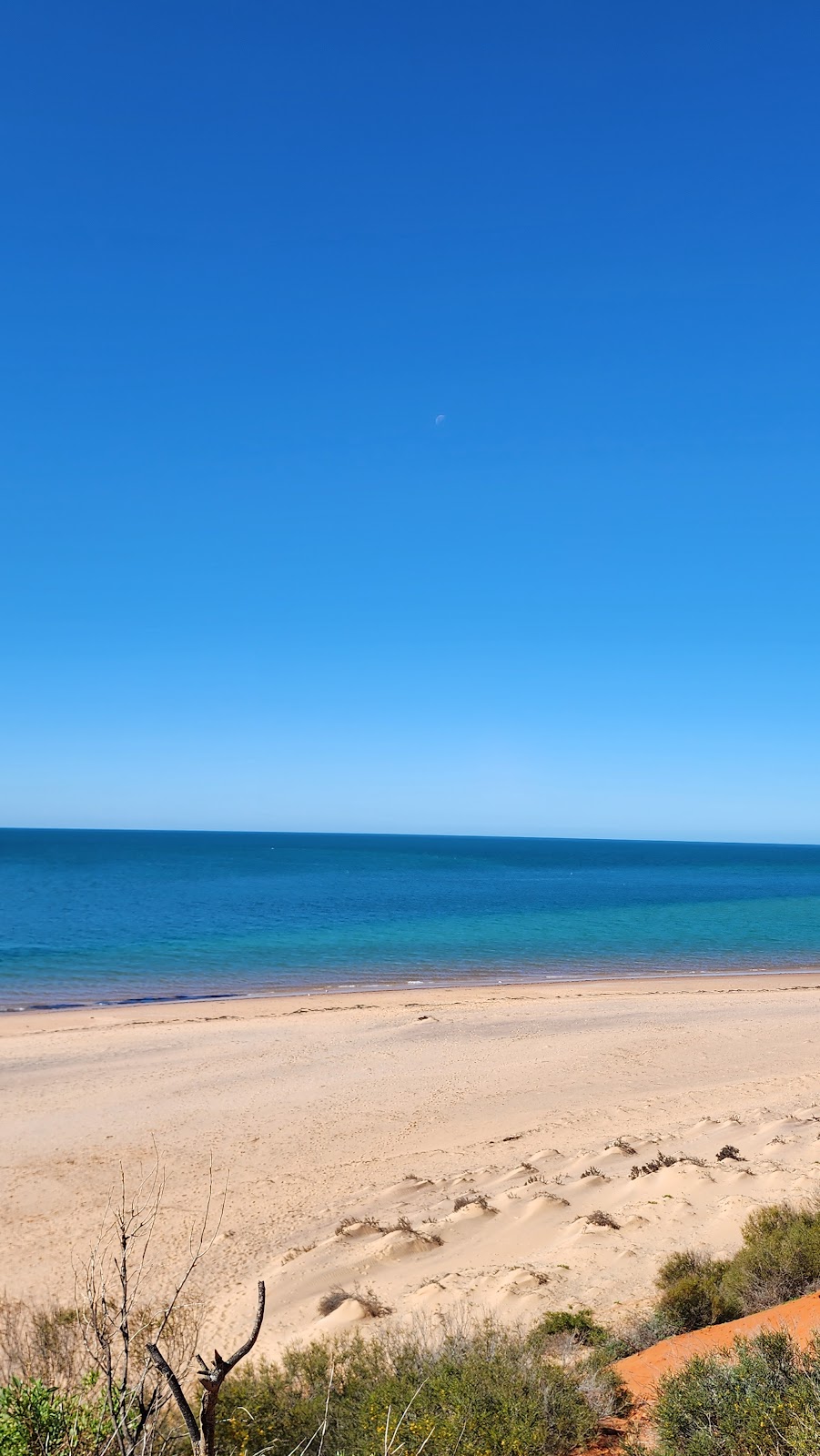 Shark Bay 4WD Tours | 1 Ocean Park Rd, Shark Bay WA 6537, Australia | Phone: (08) 9948 1765