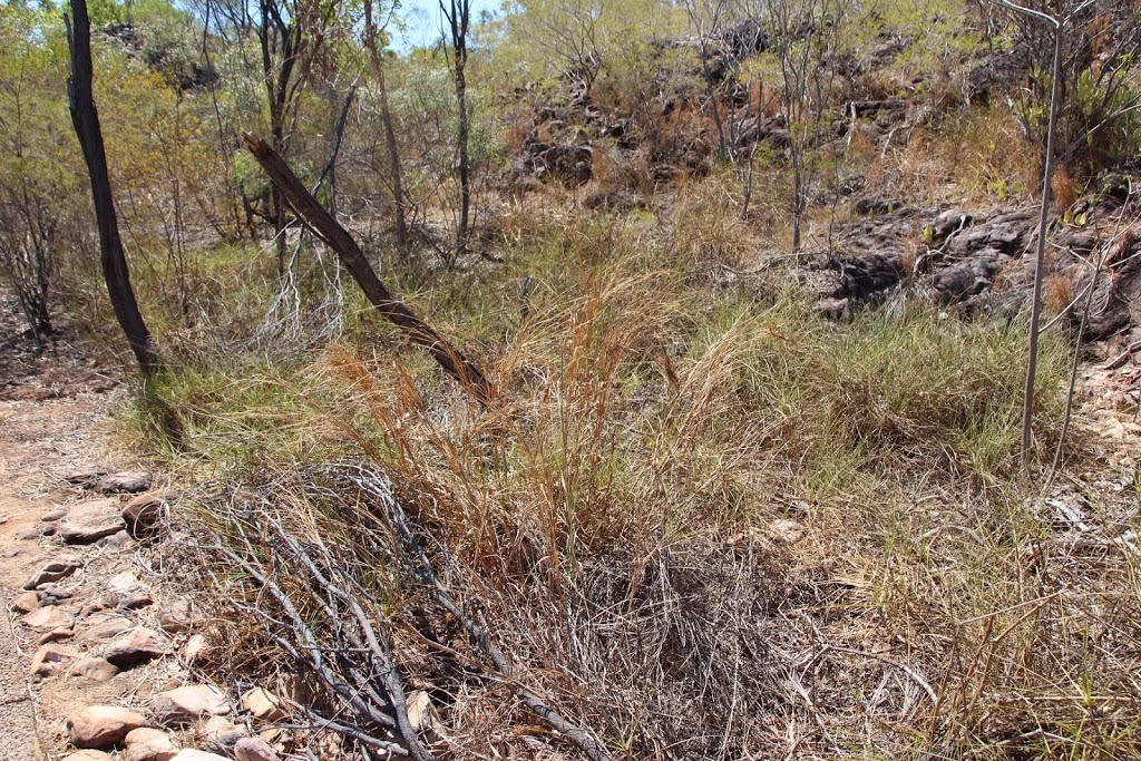 Tolmer Falls Car Park | parking | Tolmer Falls, Litchfield Park NT 0822, Australia | 0889760282 OR +61 8 8976 0282