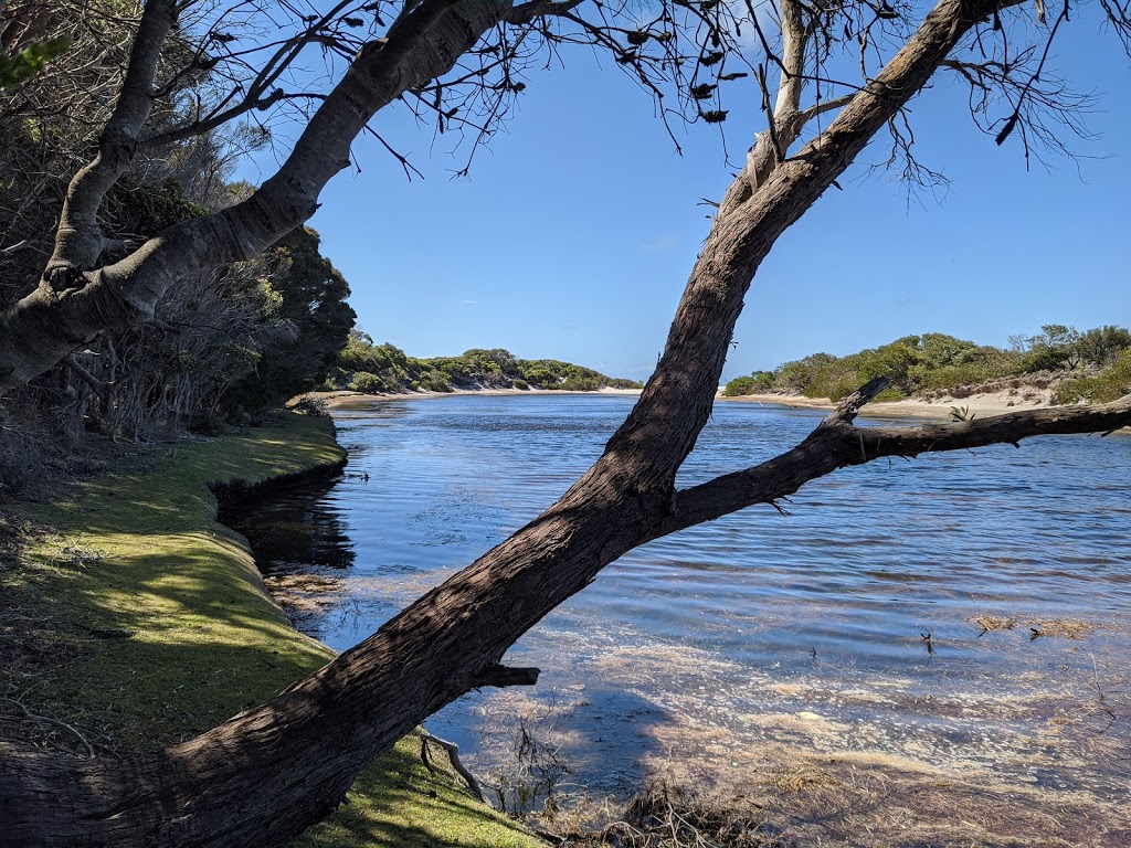 Mount William National Park | 800 Musselroe Rd, Mount William TAS 7264, Australia