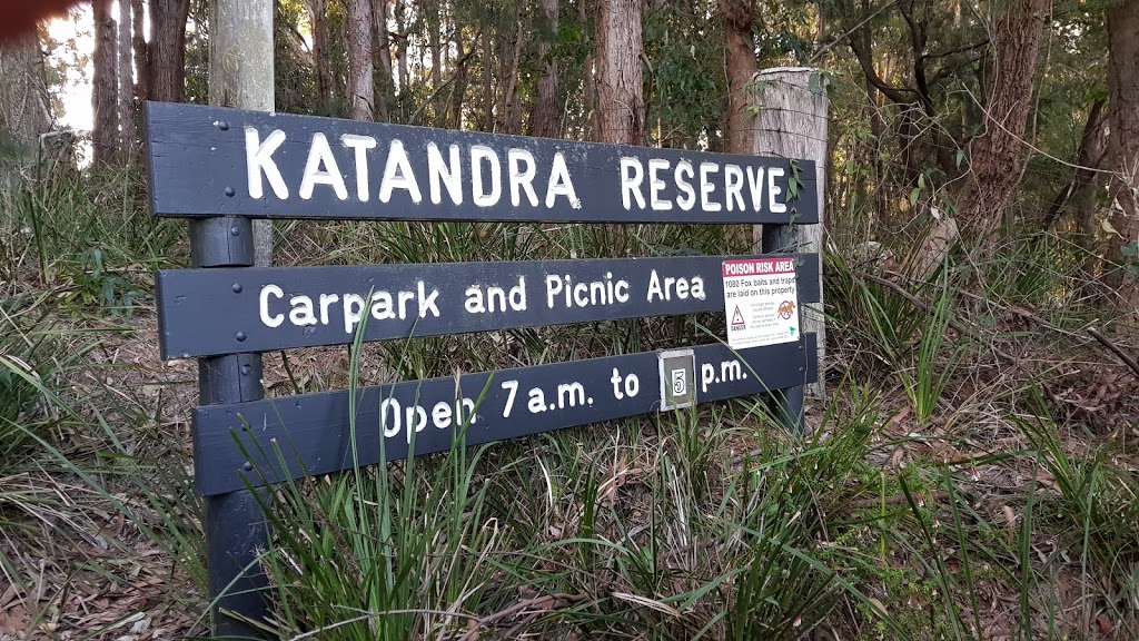 Watermans Walk, Katandra Picnic Area | park | 4 Croton Ave, Holgate NSW 2250, Australia