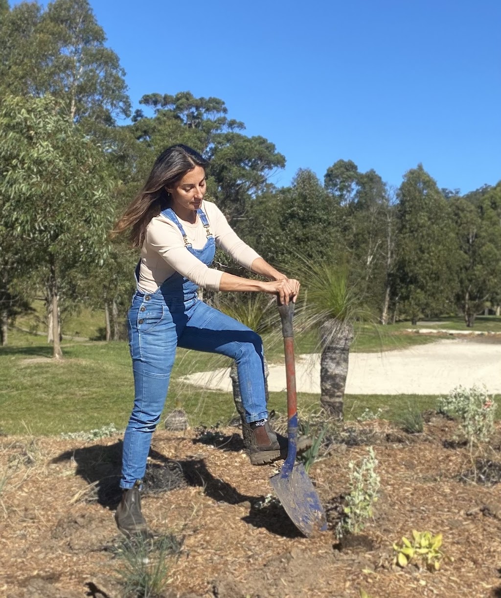 CMB Creative Gardens | 3 Mackeys Ln, Robertson NSW 2577, Australia | Phone: 0401 949 878