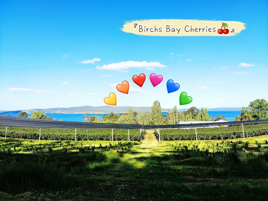 Tasmania Birchs Bay Cherries | 3644 Channel Hwy, Birchs Bay TAS 7162, Australia | Phone: (03) 6267 7028