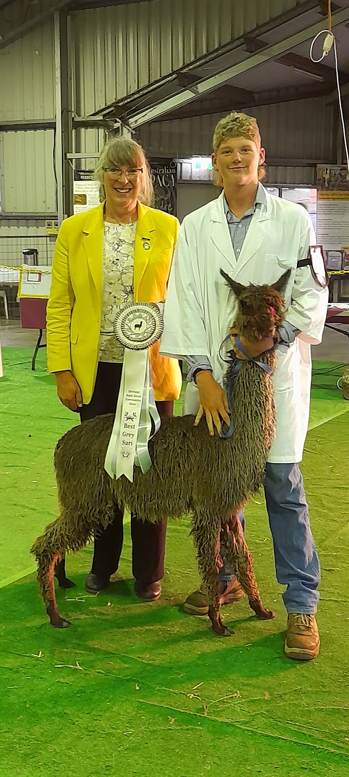Samsuri Alpacas | 320 Pechey Forestry Rd, Pechey QLD 4352, Australia | Phone: 0418 748 585