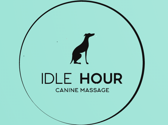 Idle Hour Canine Rehabilitation | 11 Windsor Dr, Beaconsfield VIC 3807, Australia | Phone: 0437 100 507